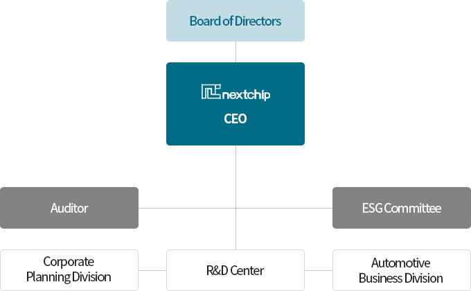 Nextchip Organization